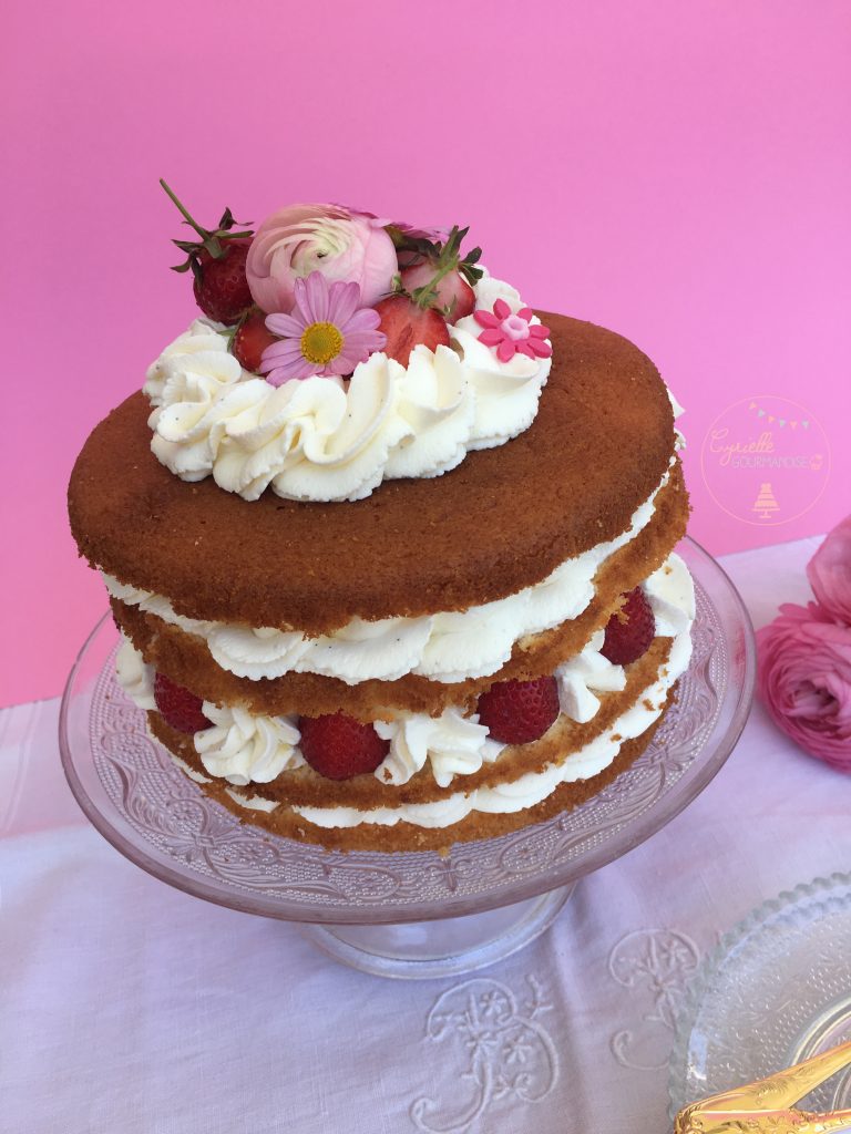 Naked Chiffon Cake Fraise Rhubarbe Vanille Cyrielle Gourmandise