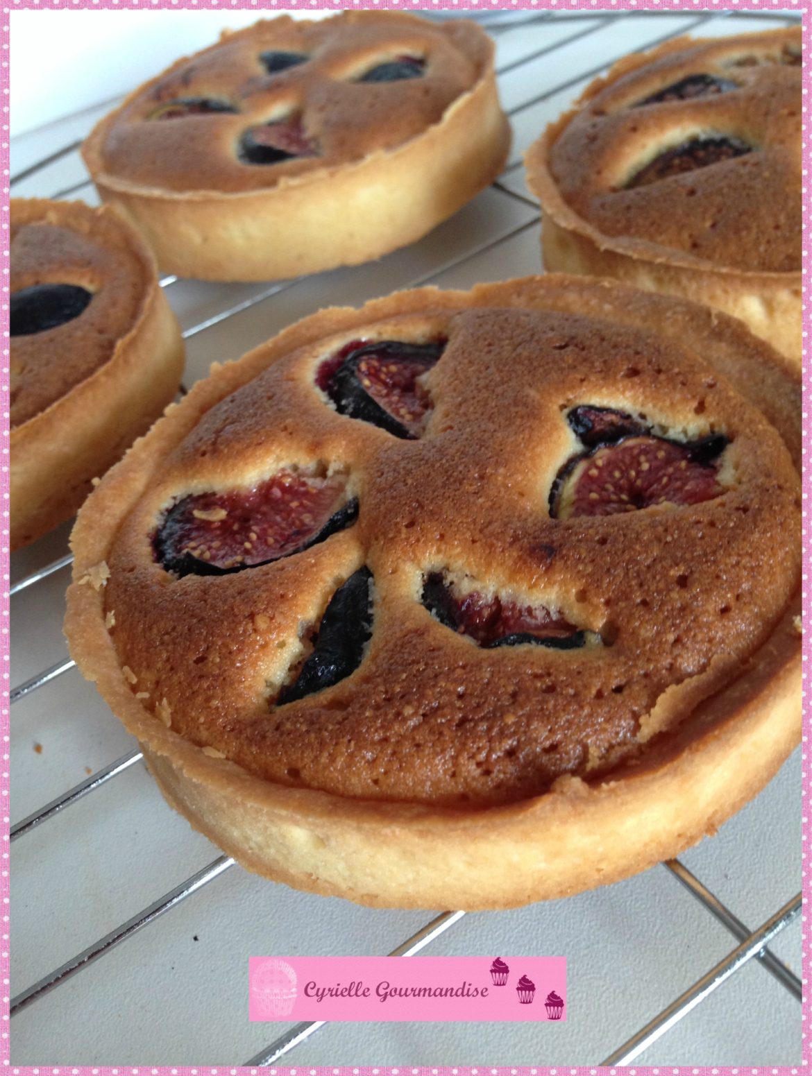 Yogurt and Fruit Parfaits