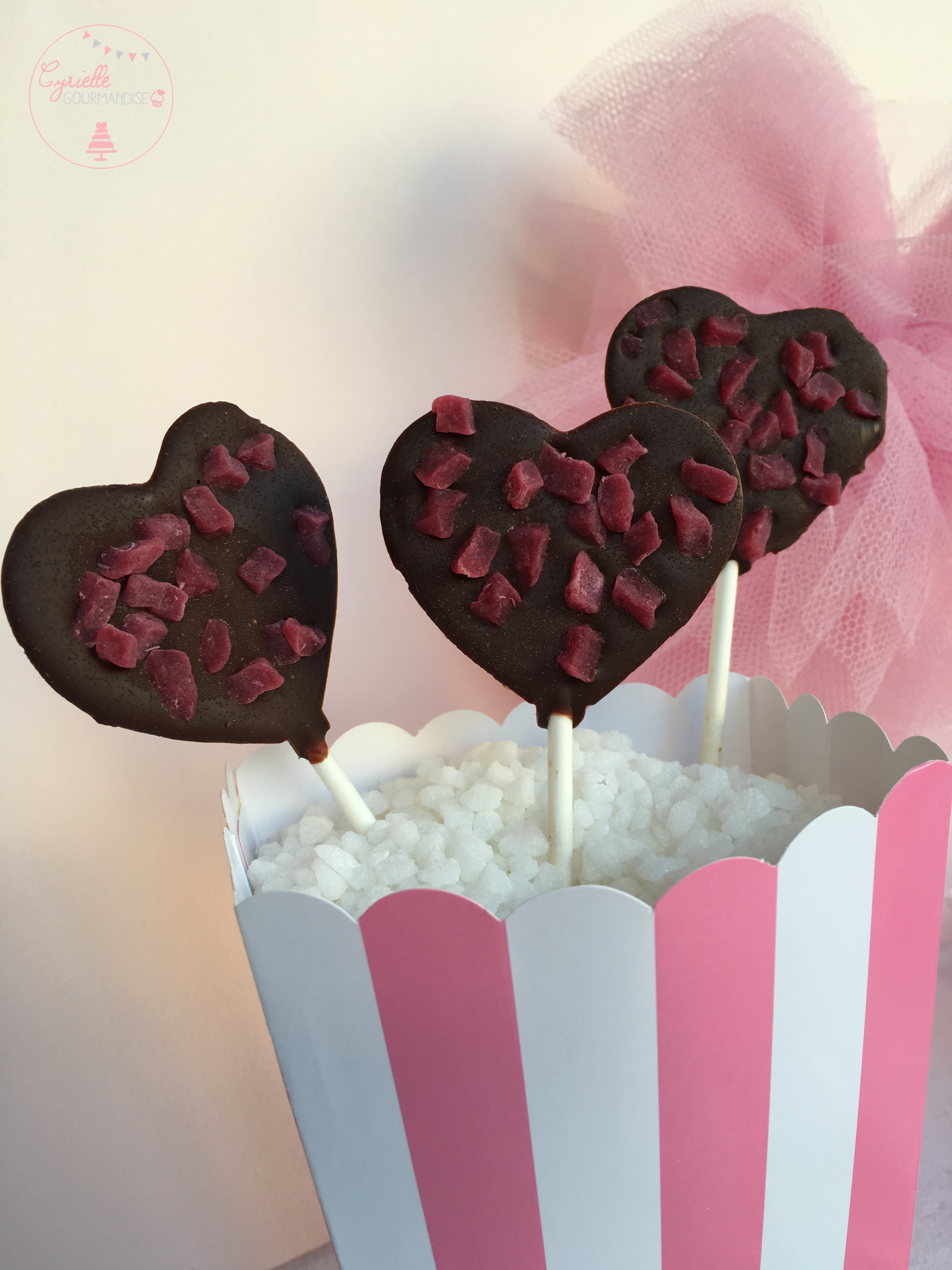Sucettes chocolat framboise 3