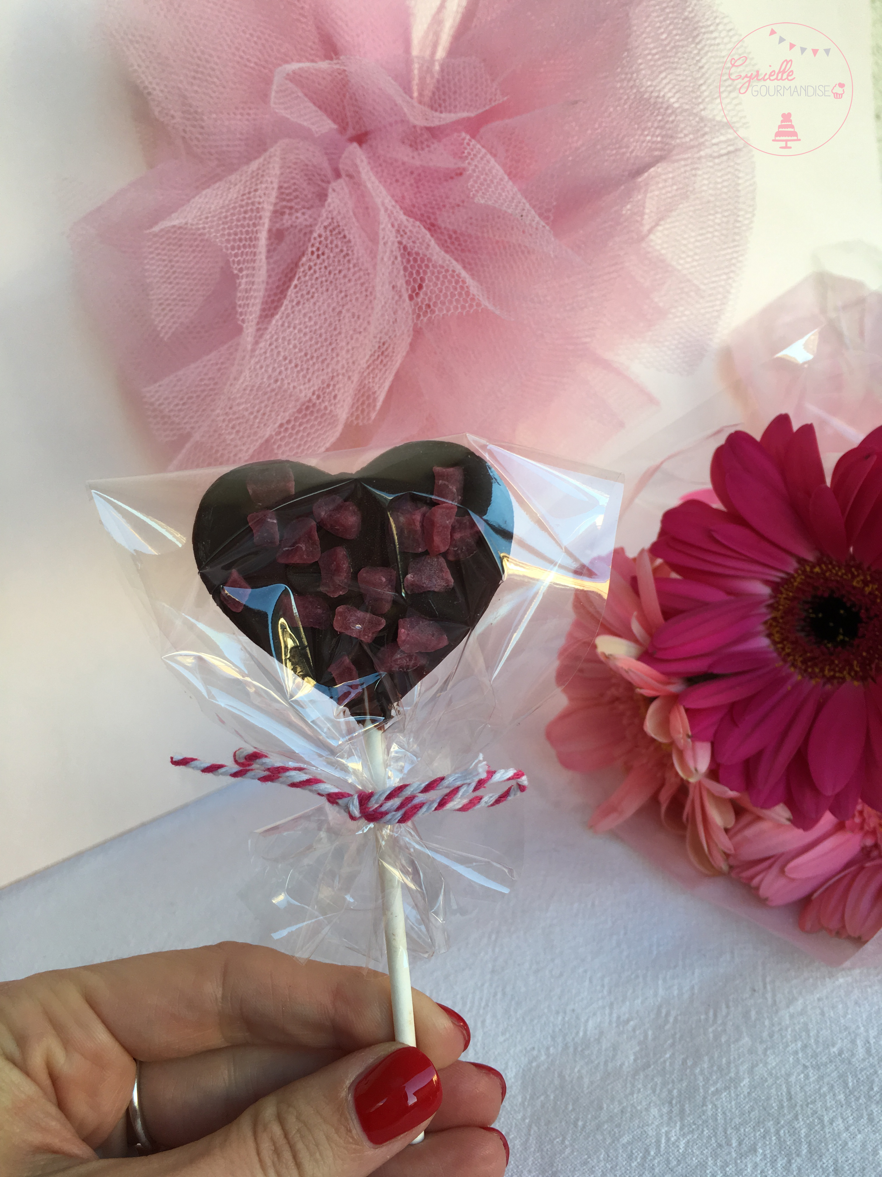 Sucettes chocolat framboise 5