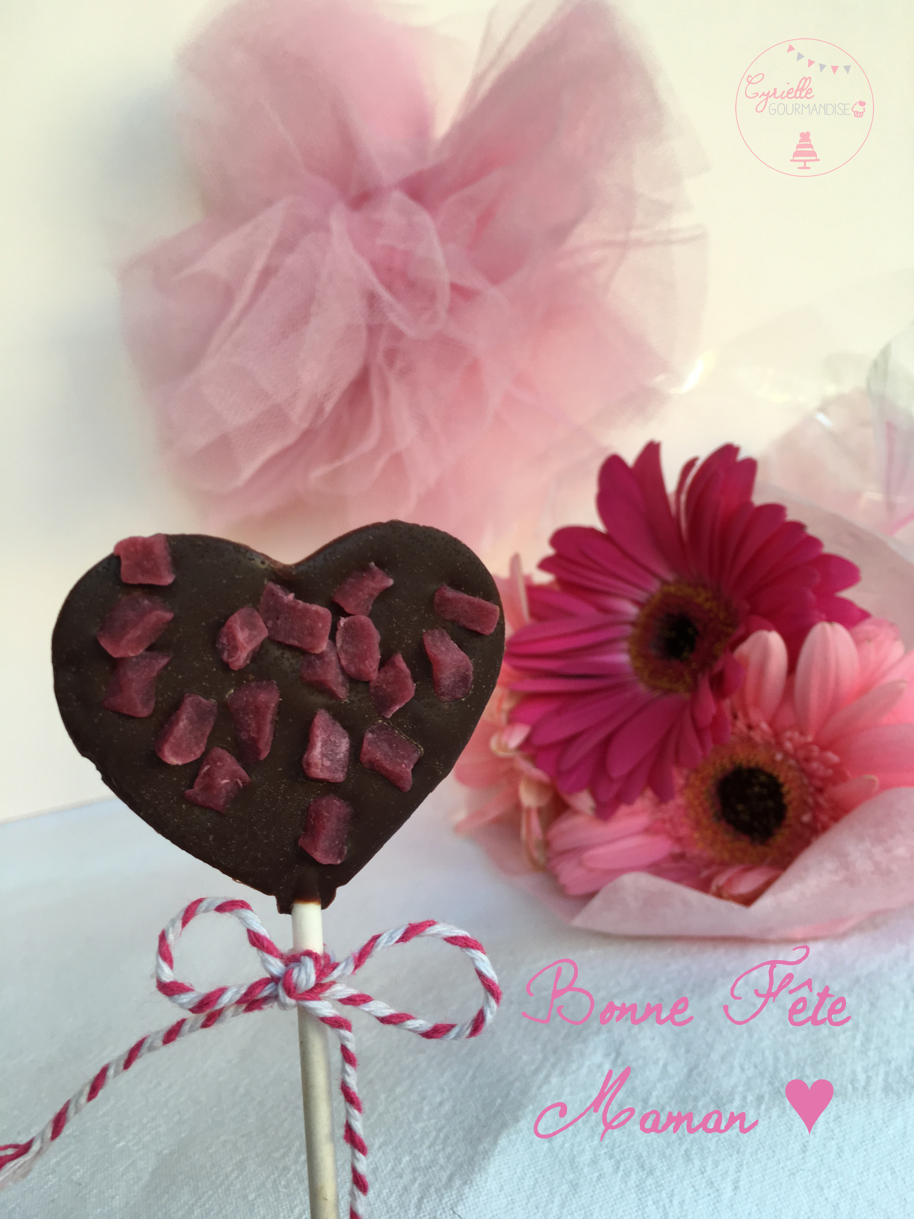 Sucettes chocolat framboise 6 Bonne fête Maman