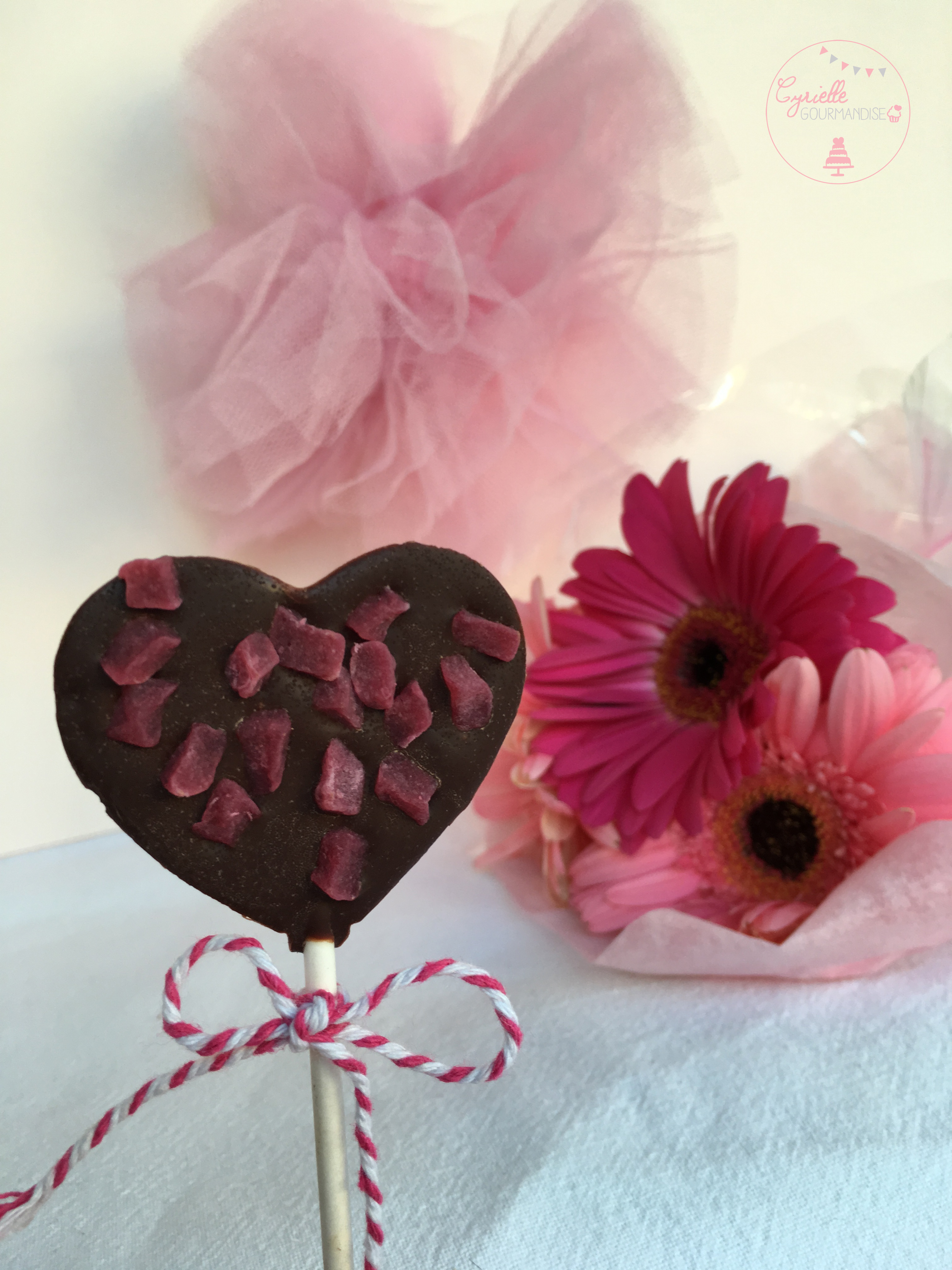 Sucettes chocolat framboise 6