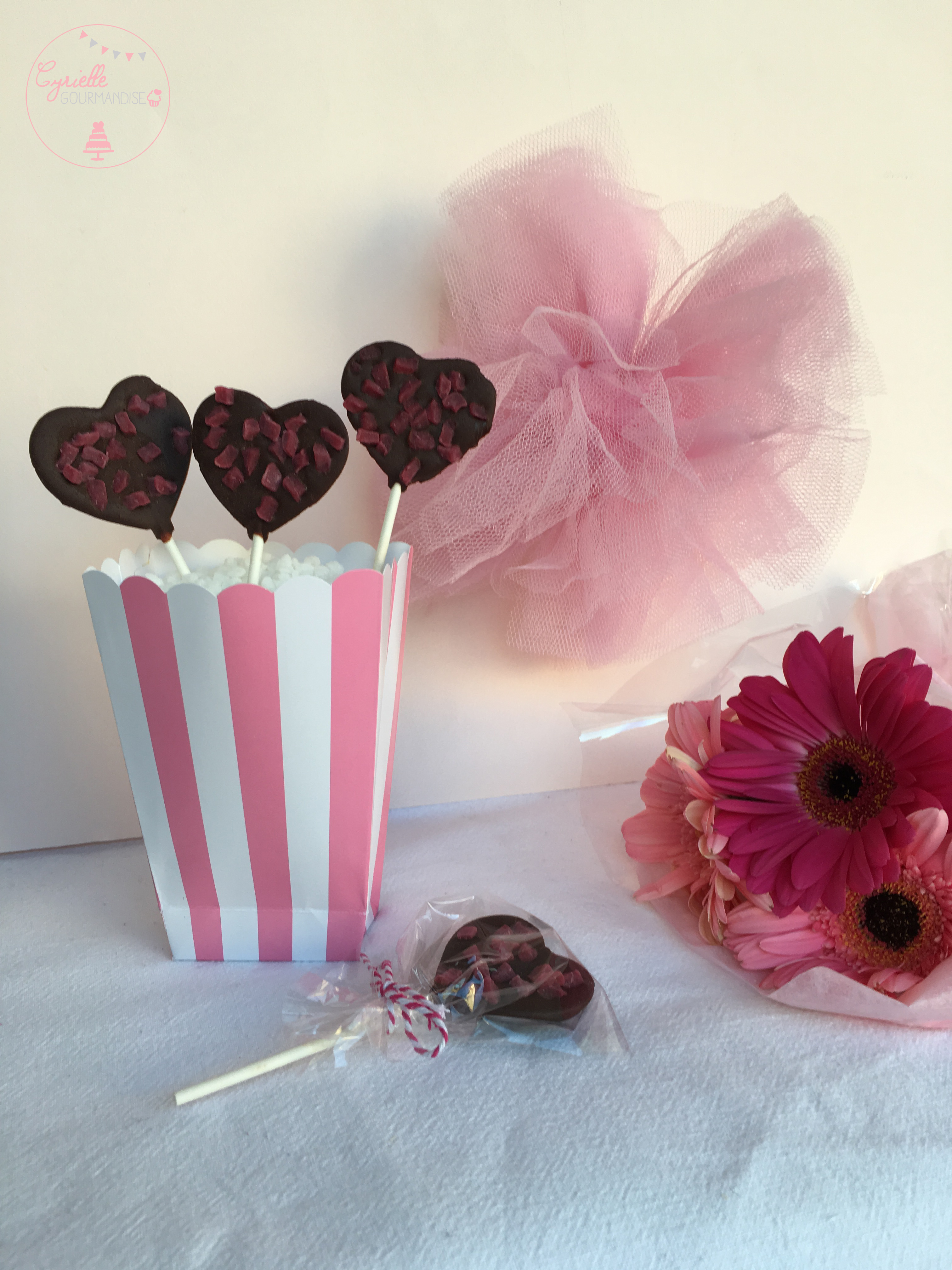 Sucettes chocolat framboise