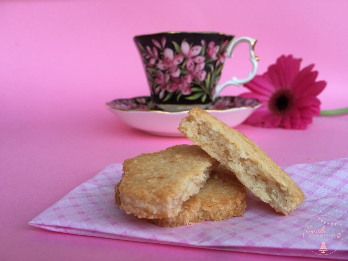 Biscuits 100% Coco  ♥ Semaine Healthy ♥ Sans Gluten et Sans Lactose