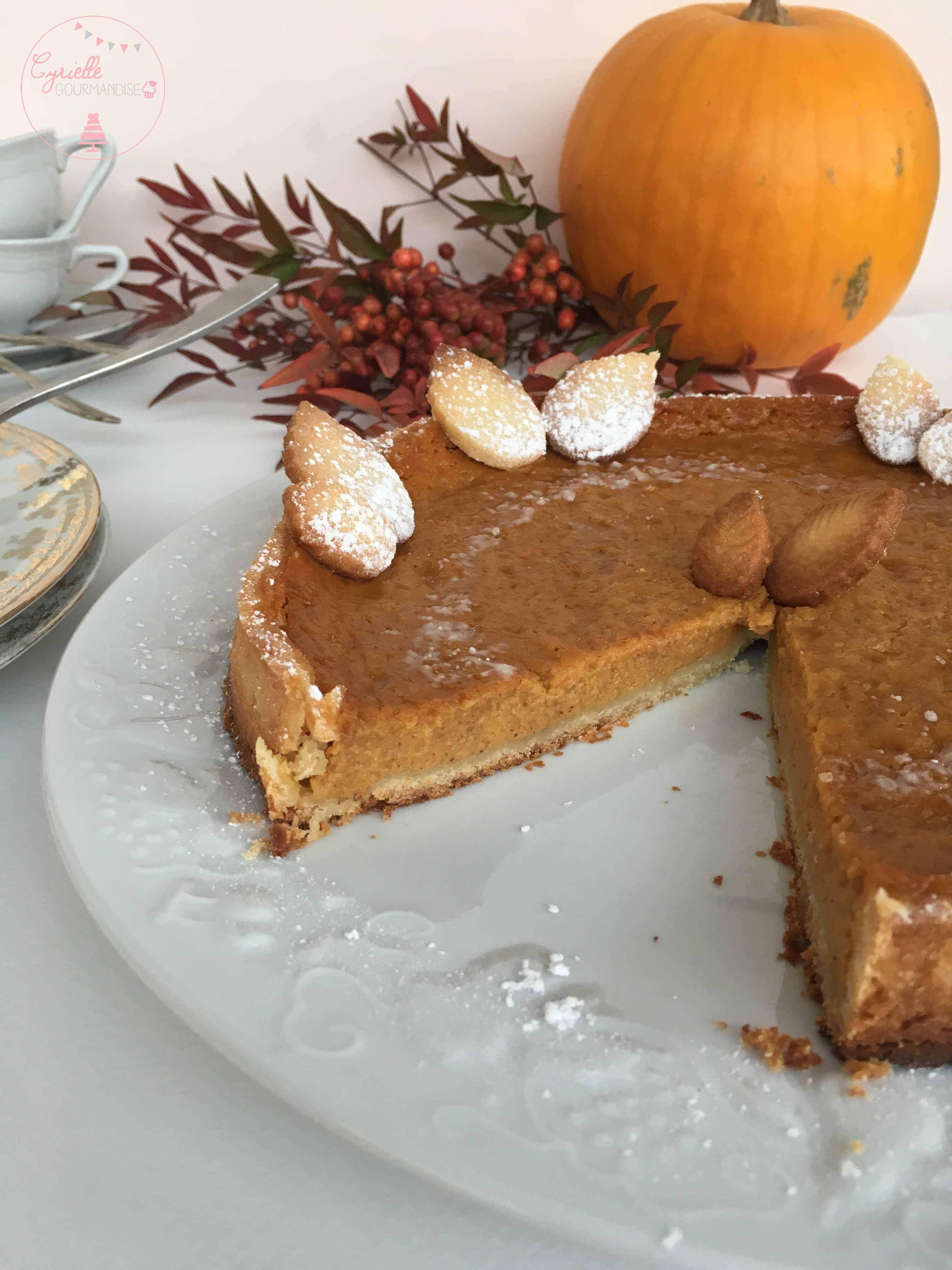 pumpkin-pie-4
