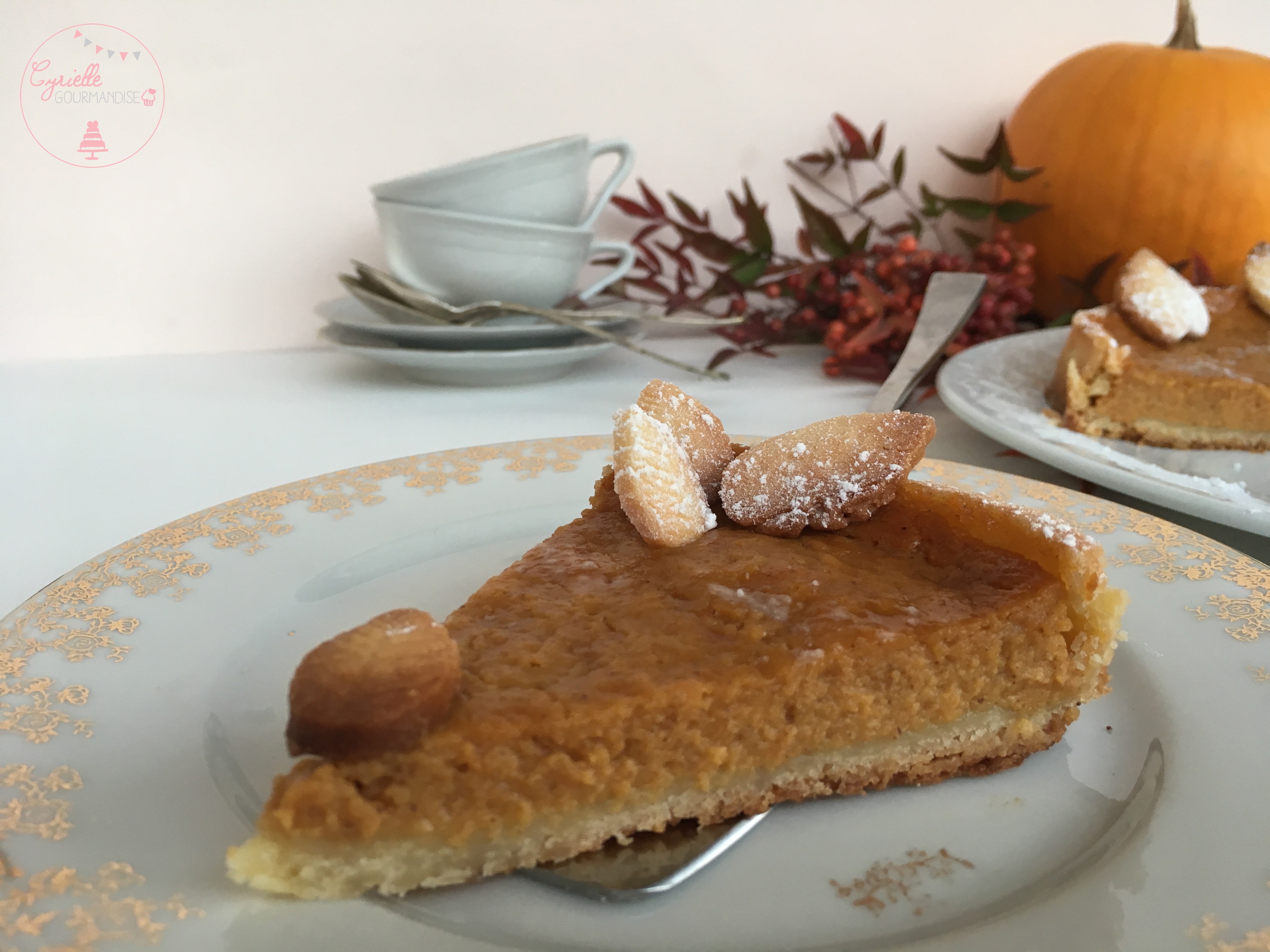pumpkin-pie-5