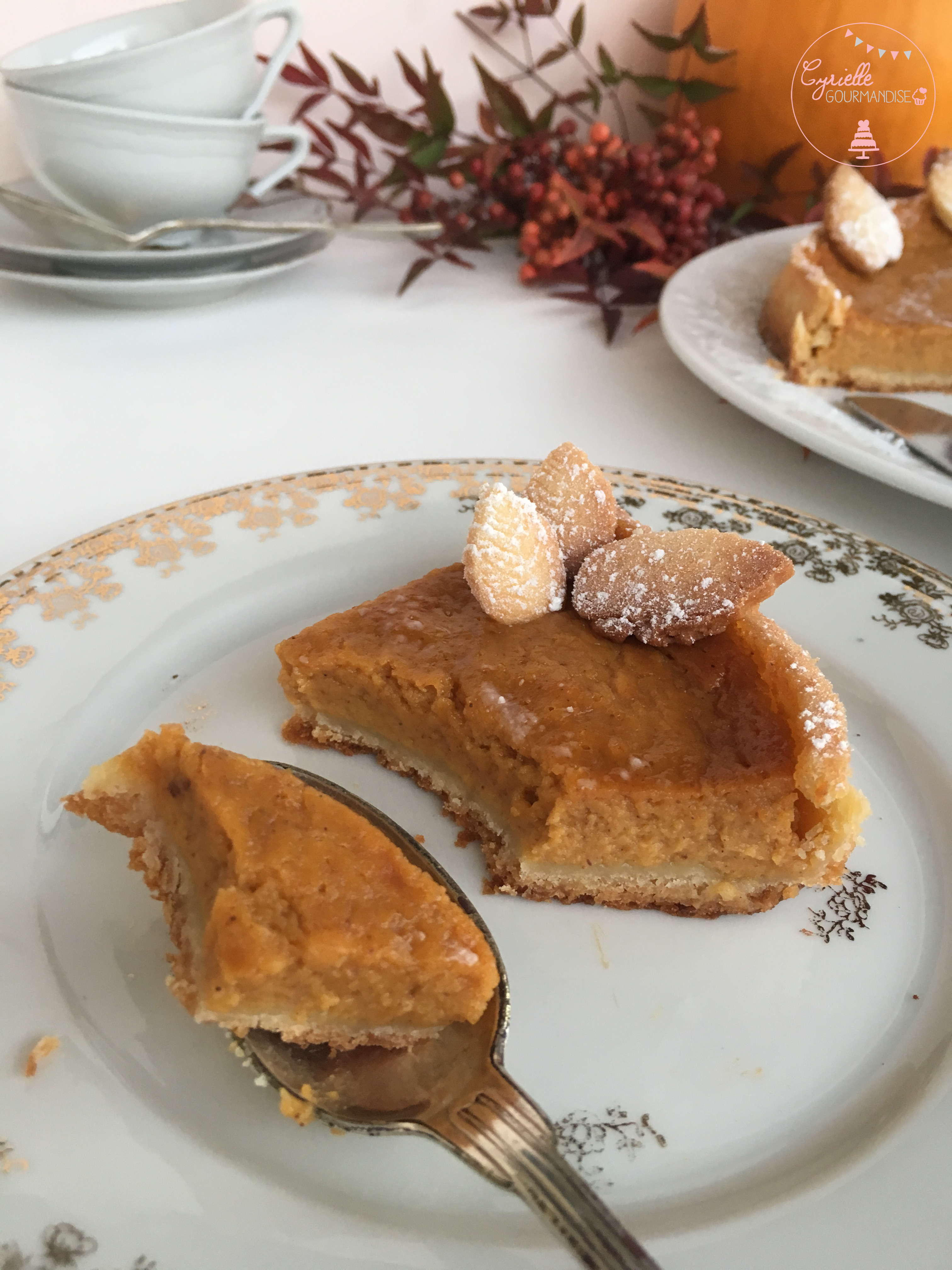 pumpkin-pie-6