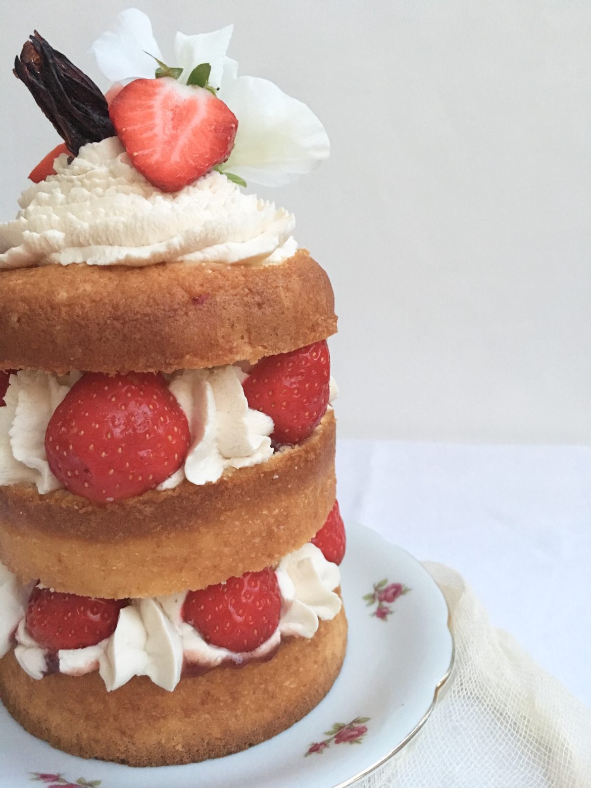 Naked Cake Fraises-Hibiscus