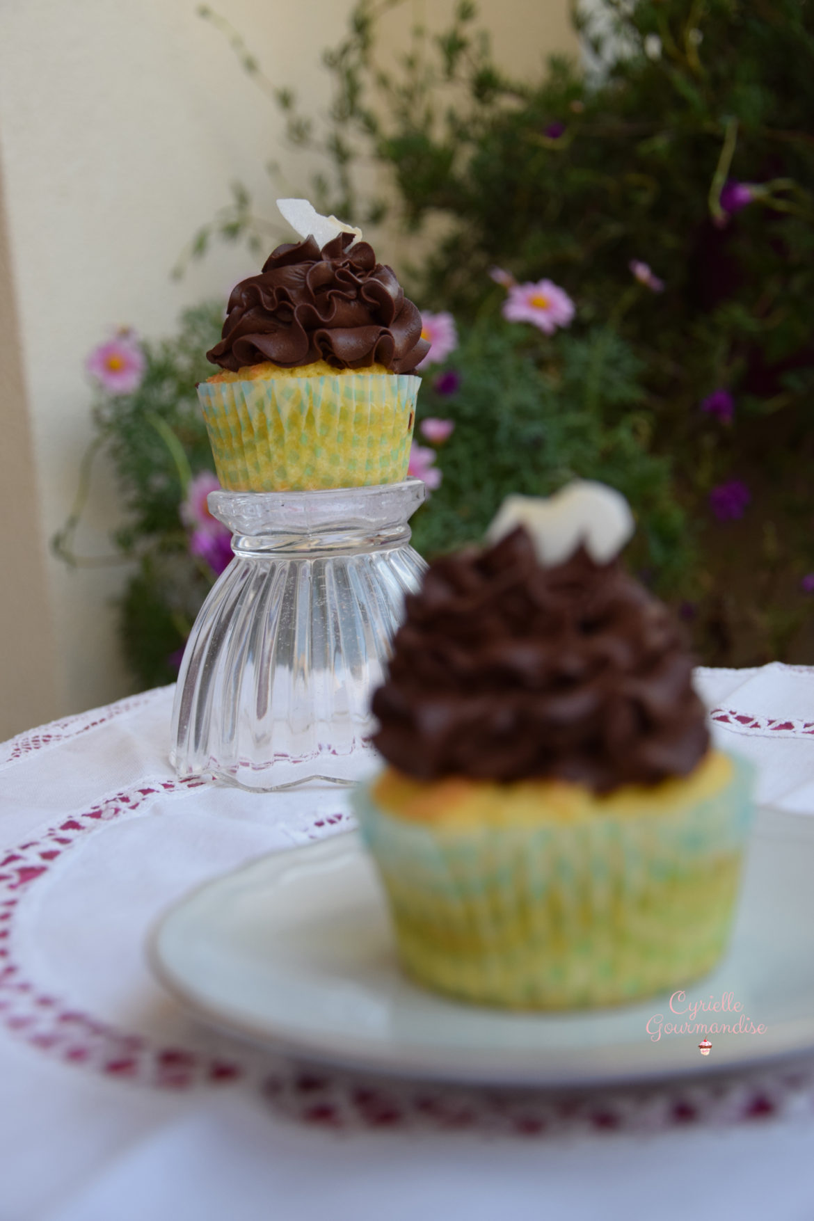 Cupcakes Coco-Choco ♦ Sans Gluten, Sans Lactose ♦
